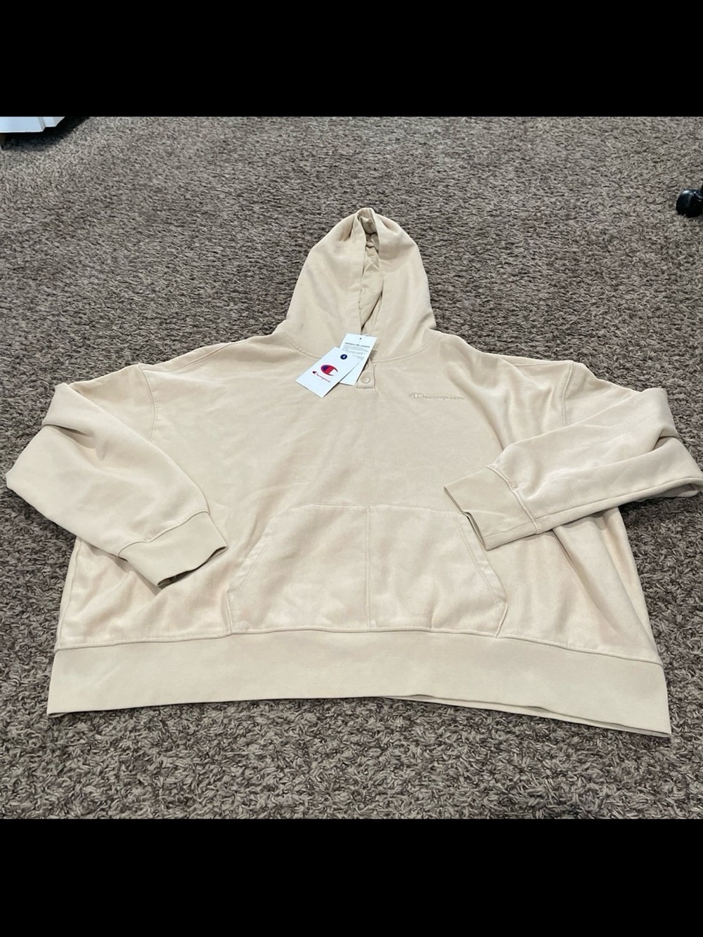 Champion NWT hoodie in Irish cream women’s size 3X